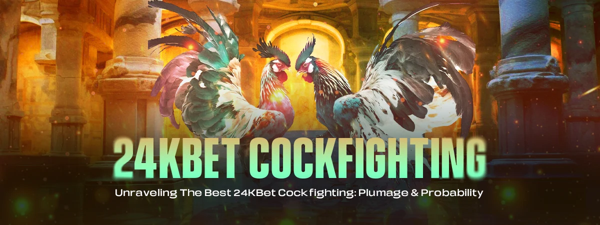 Unraveling The Best 24kbet Cockfighting: Plumage & Probability
